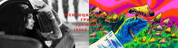 гидра Армянск
