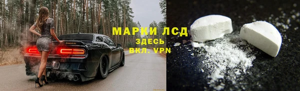 apvp Алексин