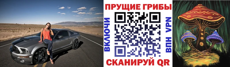 darknet какой сайт  Пушкино  Псилоцибиновые грибы Psilocybine cubensis  kraken ONION 